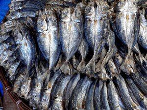 Dried Fish