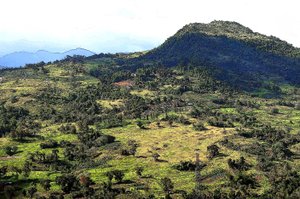 Cebu Hills