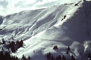 Snowy Slope by Detlef B. Fischer