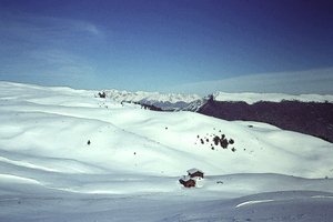 Snow in the Alps