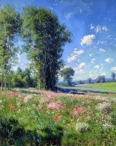Beautiful View on a Sunny Day, Nature and Trees, Wall Decor for Sale by F. Abderrahim