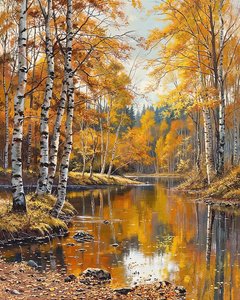 Landscape and Birch Trees with Crystal Clear Waters