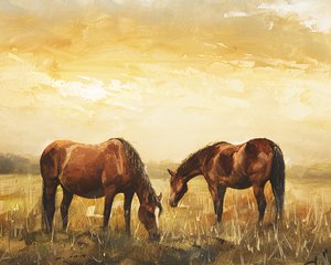 Wild horses at sunset