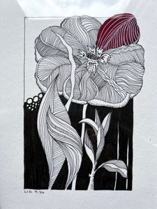 Blossom by Urs Grünenfelder