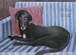 Our Dog Sassa