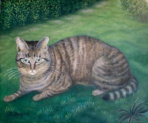 The Cat Julia by Regine Dapra