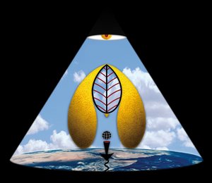 Im Anfang war das Wort (aus der Serie Lichtung) by Alexander Eibach