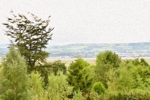 Nature Landscape
