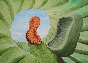 Emergence