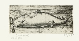 Print of the Stranded Whale near Antwerp, July 2, 1577