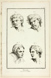 Expressions of Emotion (Hate or Jealousy, Anger, Desire, Physical Pain), from Encyclopédie by A. J. Defehrt