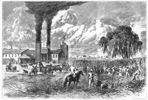 Sugar Plantation, New Orleans, 1870 by A. R. Ward