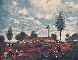 A Coffee Fazenda by A. S. Forrest