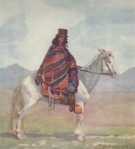 An Araucanian Indian