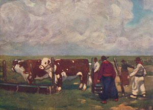 Pedigree Oxen on a Lemco Estancia