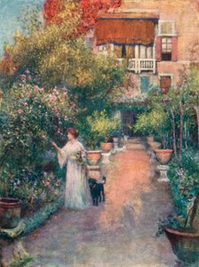Garden Palazzo Cappello