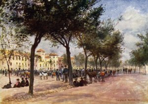 Granada, Market and Gypsy Fair in the Triunfo
