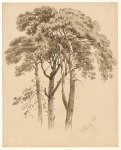Study of Three Pines by Aaron Edwin Penley