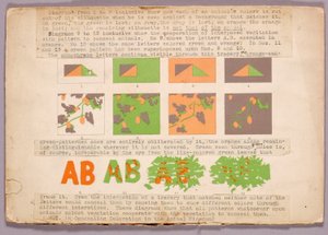 Diagram and Copperhead Snake, Study Folder for Book Concealing Coloration in the Animal Kingdom