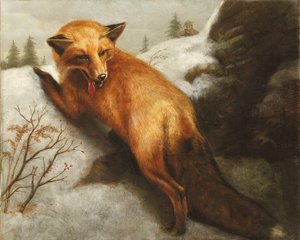 The Red Fox