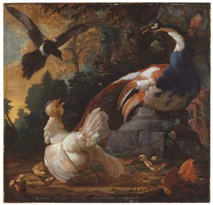 A Peacock, Poultry and a Magpie in a Landscape, 1720 by Abraham Bisschop