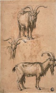 Three Sketches of a Goat (recto) Drapery of Standing Female Figure (verso)