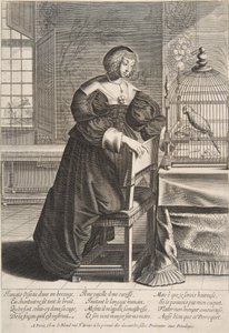 The Parrot, 1620-76 by Abraham Bosse