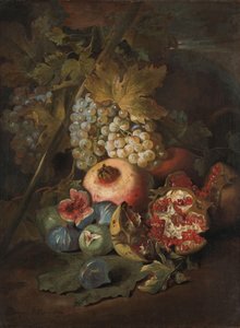 Bunches of Grapes, Pomegranates and Figs in a Landscape