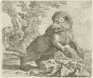 Bear Attacked by Dogs (Various Animals)