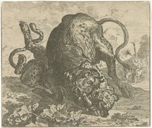 Leopard and Bull