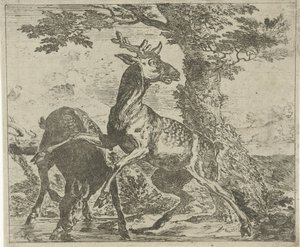 Startled Deer (Various Animals)