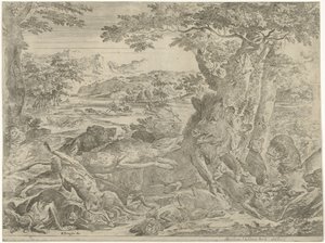 Wild Boar Attacked by Dogs