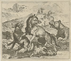 Wolf Attacked by Dogs (Various Animals series)