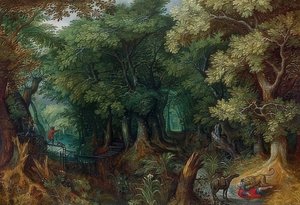 Forest Landscape