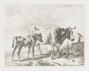 Cow and Calf in a Meadow