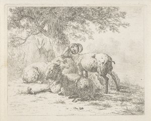 Sheep and a Goat by Abraham Hendrik Winter