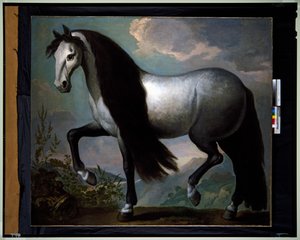 Horse in a Landscape