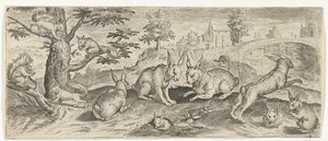 Squirrels and Rabbits