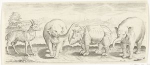 Gazelle, Elephant, and Rhinoceros (Animals series)