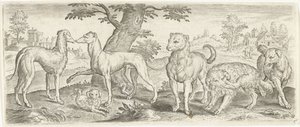 Dogs Animals (series title)