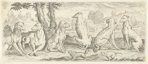 Dogs (Animals)