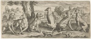 Dogs