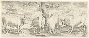 Cows, a Bull and an Ox (series: Animals)