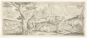 Rats, Cats, and Foxes