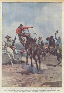 Equestrian acrobatics