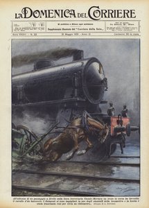 At the height of a level crossing on the Casale-Mortara railway line, a train in motion