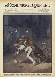 During the voyage from Singapore to London on a steamer, a tiger managed to escape from its cage