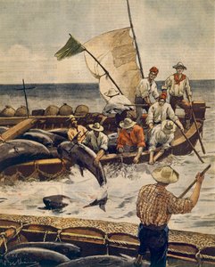 Extraordinary bluefin tuna fishing at Piana Island, Sardinia by Achille Beltrame