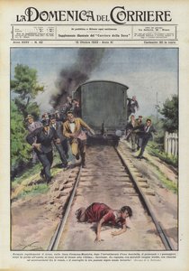Quickly Stopping the Train on the Cremona-Mantova Line After Hitting a Girl