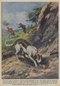The Dog That Saves Its Little Master